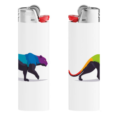 Briquet BIC